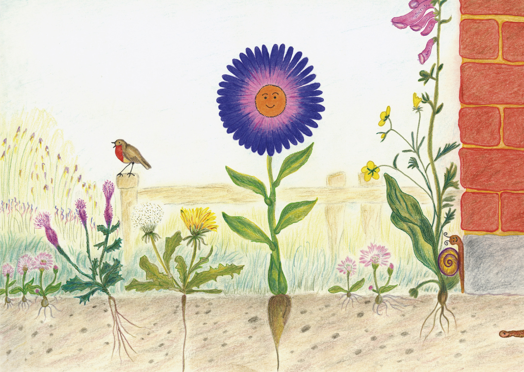 Stretch, Smile and Grow Educational Resources - Image 3
